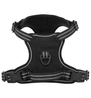 Hundegeschirr mit Leine & Halsband Verstellbar Schwarz M