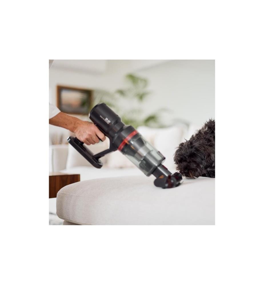 Ecofort - Akku-Hand- und Stielsauger ecoQ CleanVac Pro Animal Schwarz