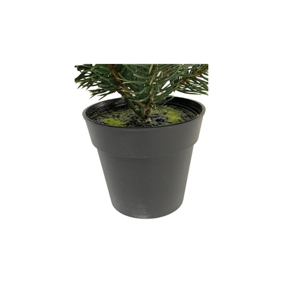 Botanic-Haus Weihnachtsbaum Tannenbaum im Topf, 41 cm