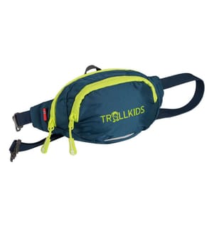 Sacs de hanche - Petrol Lime