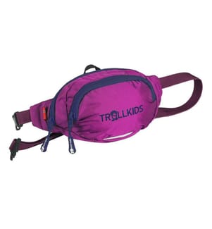 Sacs de hanche - Fireberry Navy