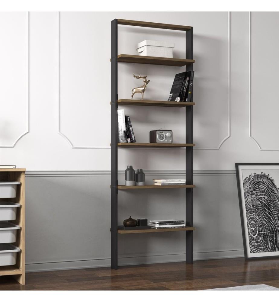 Étagère, panneau de particules 100 % mélaminé, anthracite, noyer antique