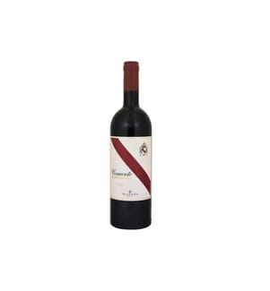 1x Concerto di Fonterutoli Toscana 2019 - 75 cl