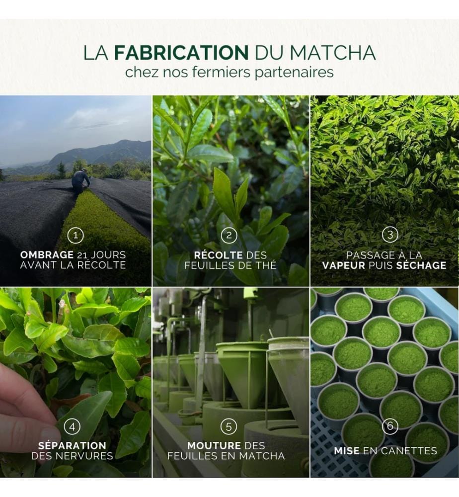 Thé Matcha Classique - 80 gr