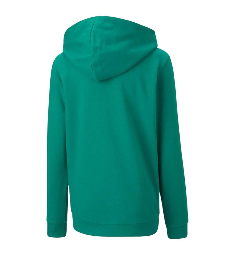 Puma - Sweat à capuche avec cordons TEAMGOAL CASUALS - Enfant