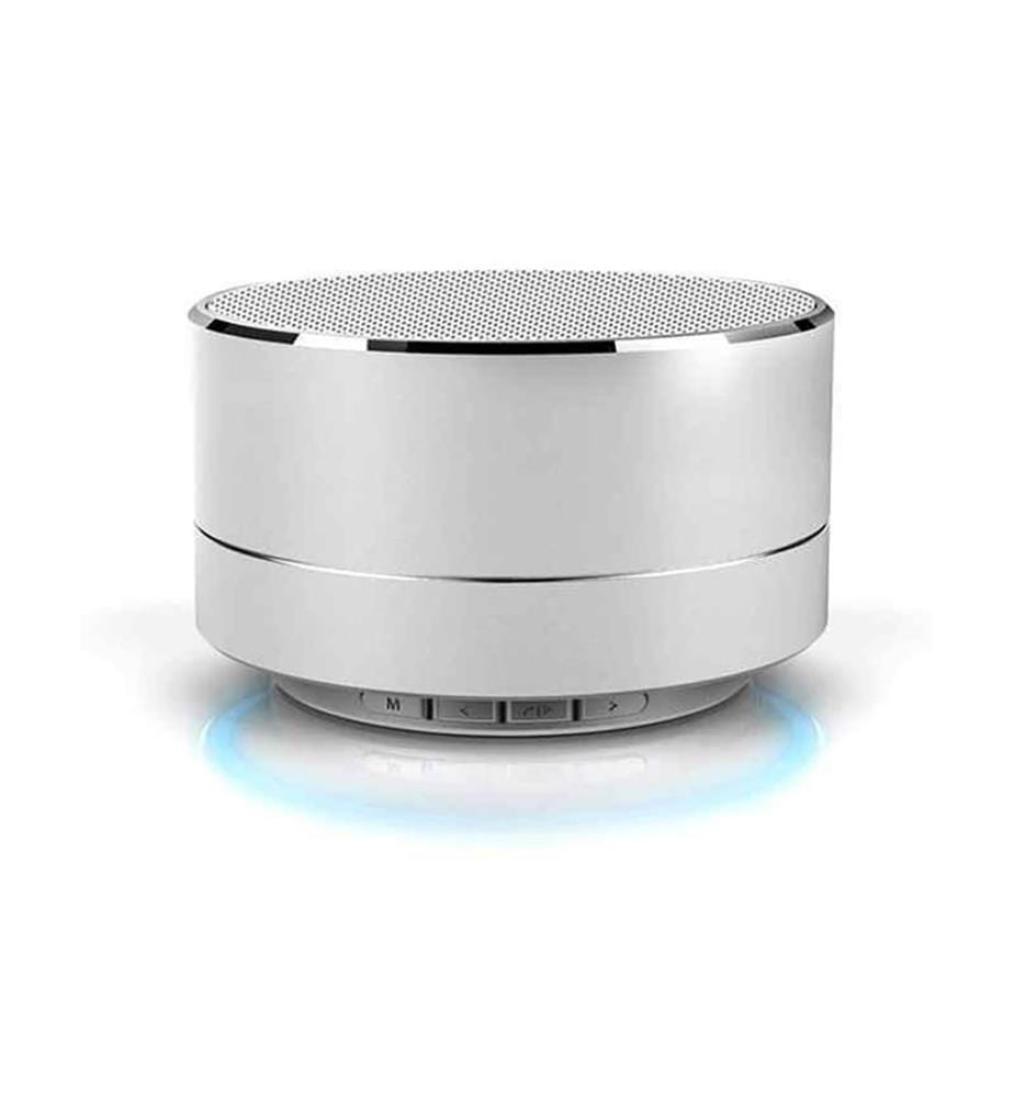 Haut-Parleur Bluetooth avec Kit Main-Libre - Argenté