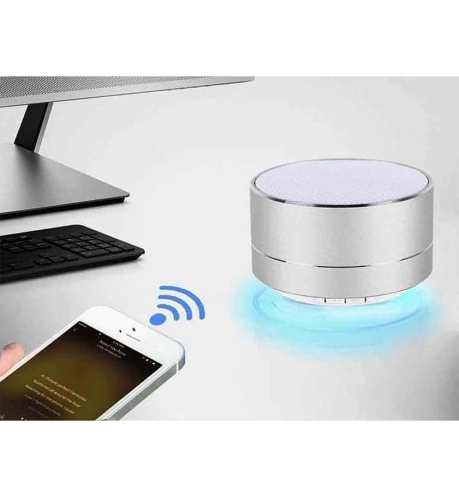 Haut-Parleur Bluetooth avec Kit Main-Libre - Argenté