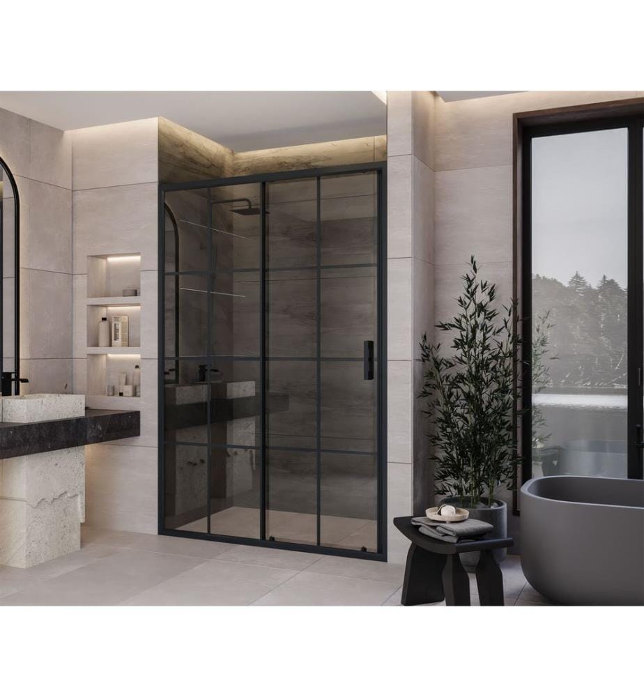 Cabine de douche, 100 % verre trempé, anthracite, 117 x 189