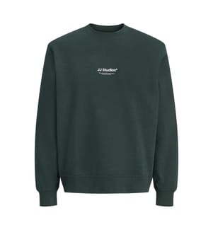 Sweatshirt - Scarab