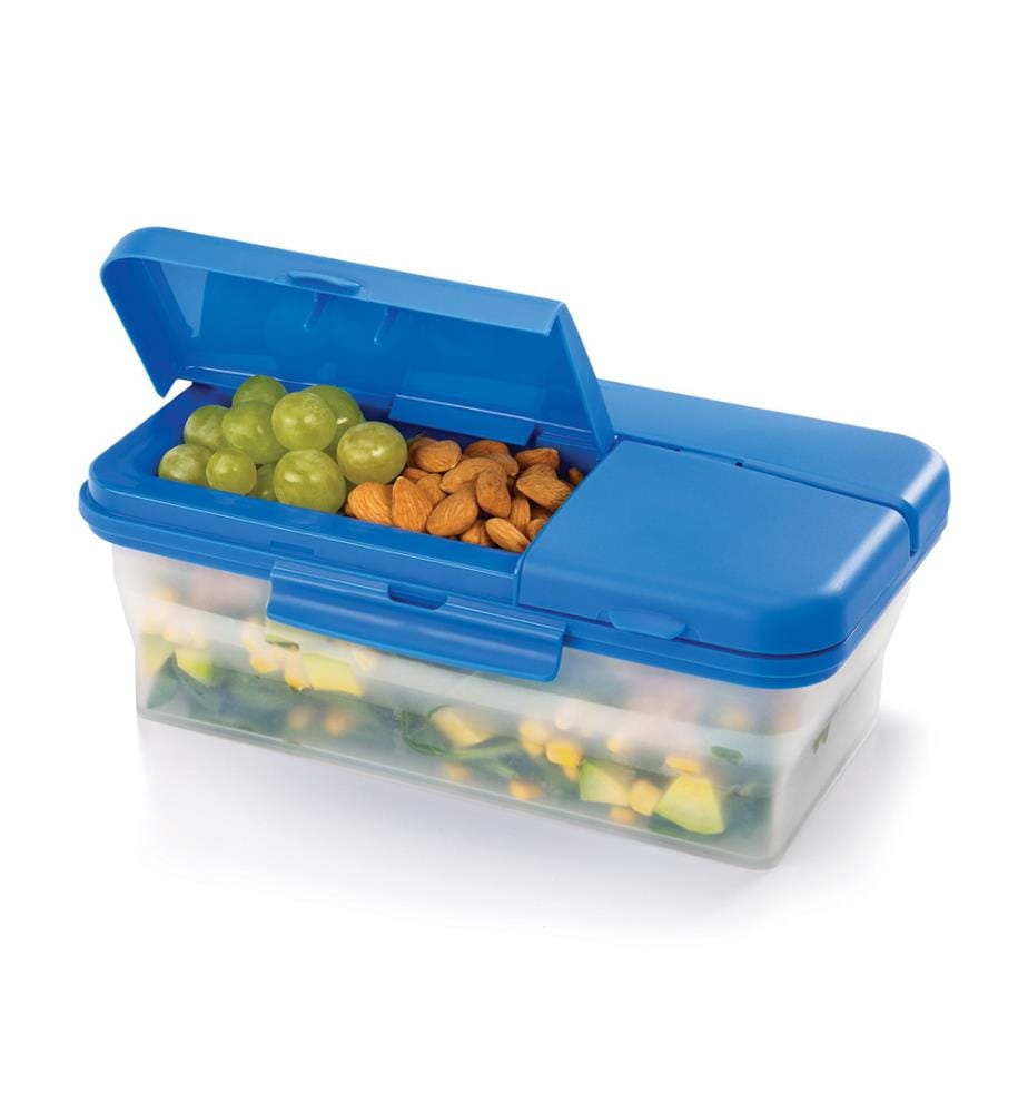 Lunchbox - Blau und Transparent