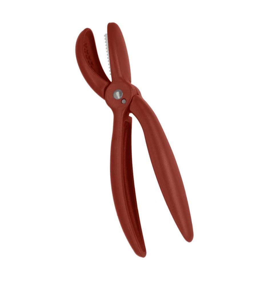 Kastanienschneider - Marroni