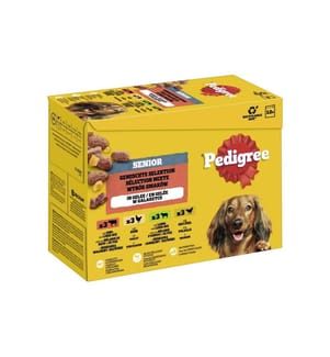 Pâtée pour chien Pedigree Senior en gelée, 12 x 100 g