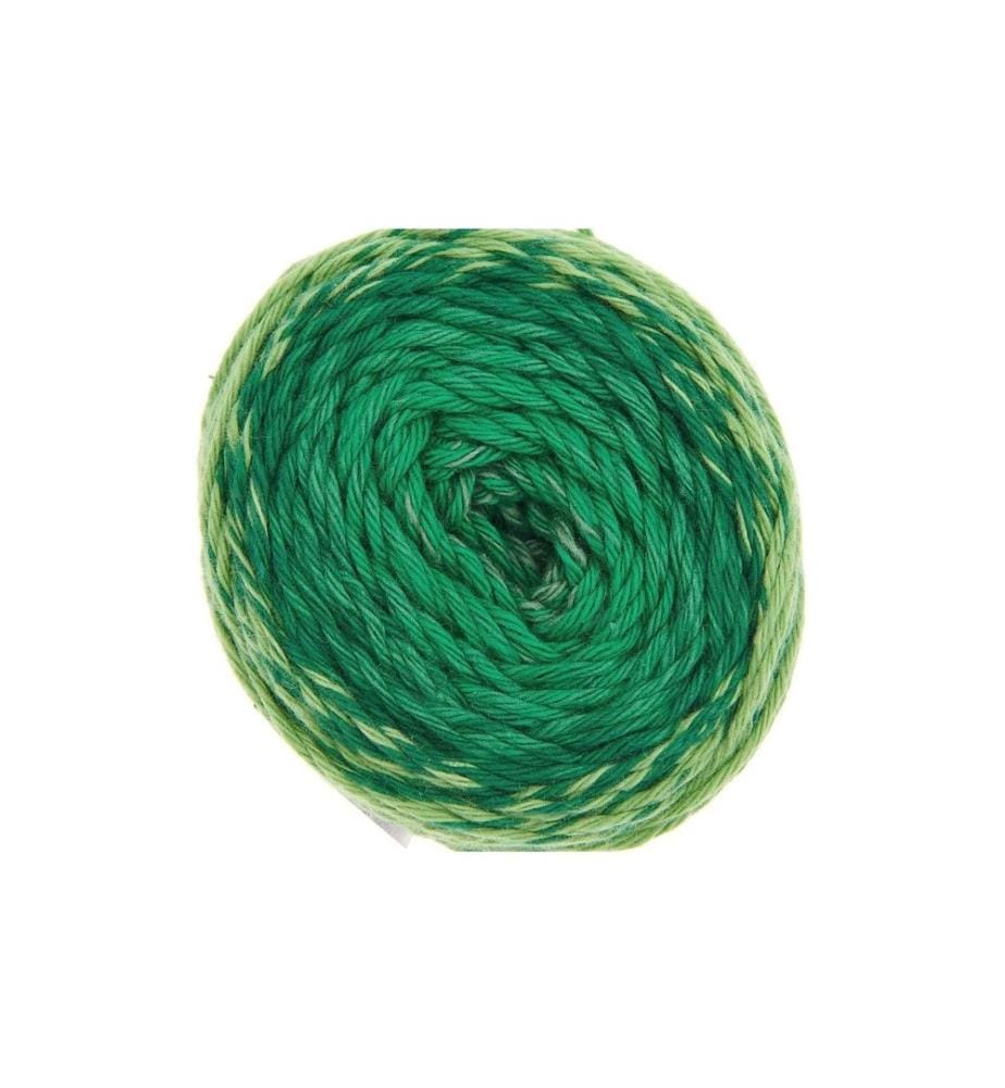 Rico Design Laine Ricorumi Spin Spin 50 g, Vert