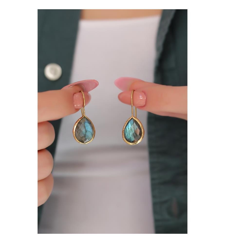 Labradorite Earrings - Gray