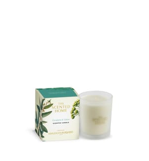 Duftkerze Eukalyptus und Vetiver - 170 g