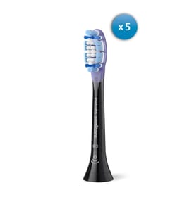 Lot de 5 têtes de brossage de qualité supérieure pour le soin des gencives - blanc