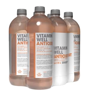 Vitamin Well Antioxidant Pfirsich - 6 x 1.15L
