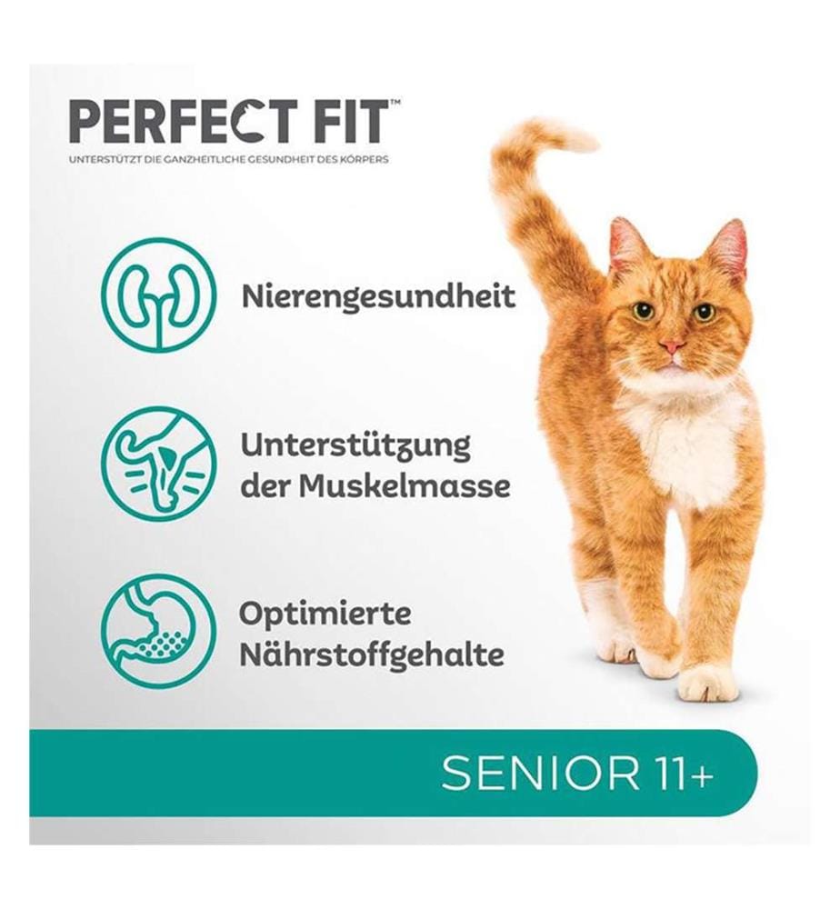 6x Senior 11+ Chicken Dog Food - 750 g