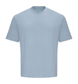 Awdis - "100" T-Shirt für Herren/Damen Unisex