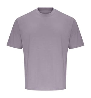 Awdis - "100" T-Shirt für Herren/Damen Unisex