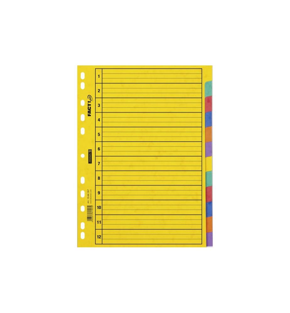 Brunnen Register A4 Fact Plus 1-12