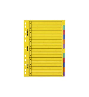 Brunnen Register A4 Fact Plus 1-12
