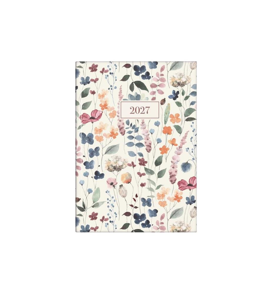 rido idé Agenda journalier  Design Line 2027 Watercolor