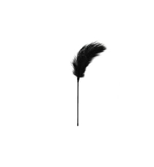 Easytoys Fetish Collection Feder Tickler schwarz
