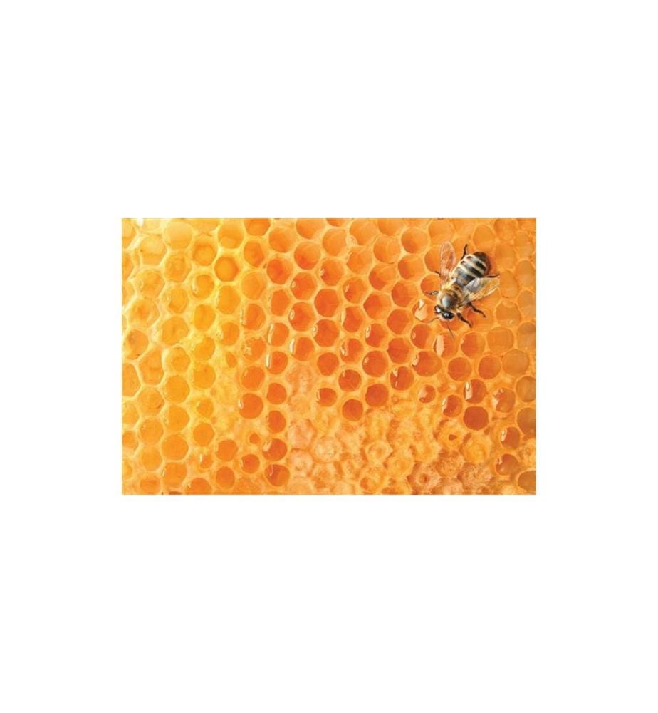 Arkopharma Spray pour la gorge Propolis 30 ml