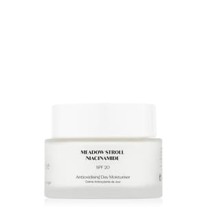 Hydratant de jour antioxydant SPF 20 - 45 ml