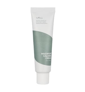 Isntree Mugwort Calming Cream 50 ml