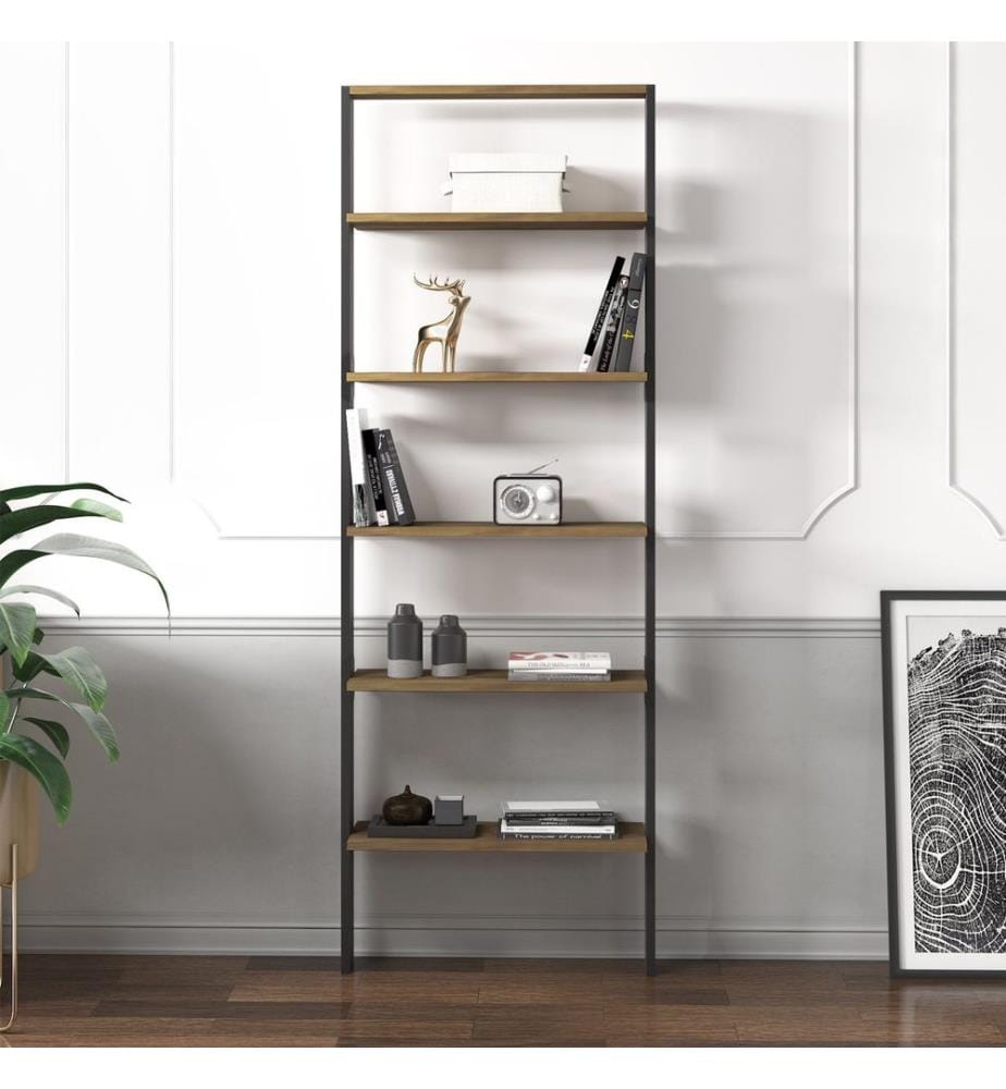 Libreria, 100% pannello di particelle rivestito in melamina, antracite, noce antico