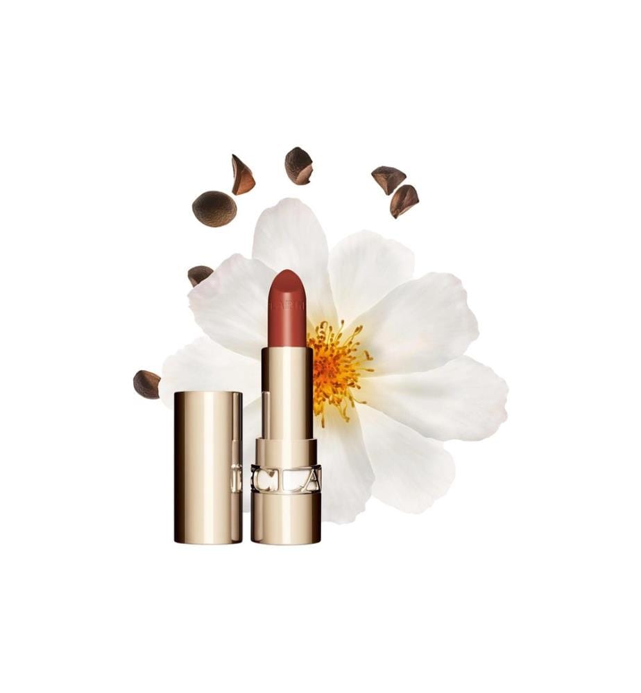 Clarins Joli Rouge Satin 737 spicy cinnamon