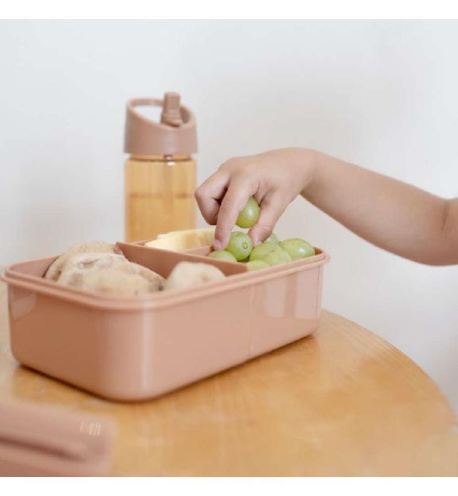 Bento-Box – Gitter