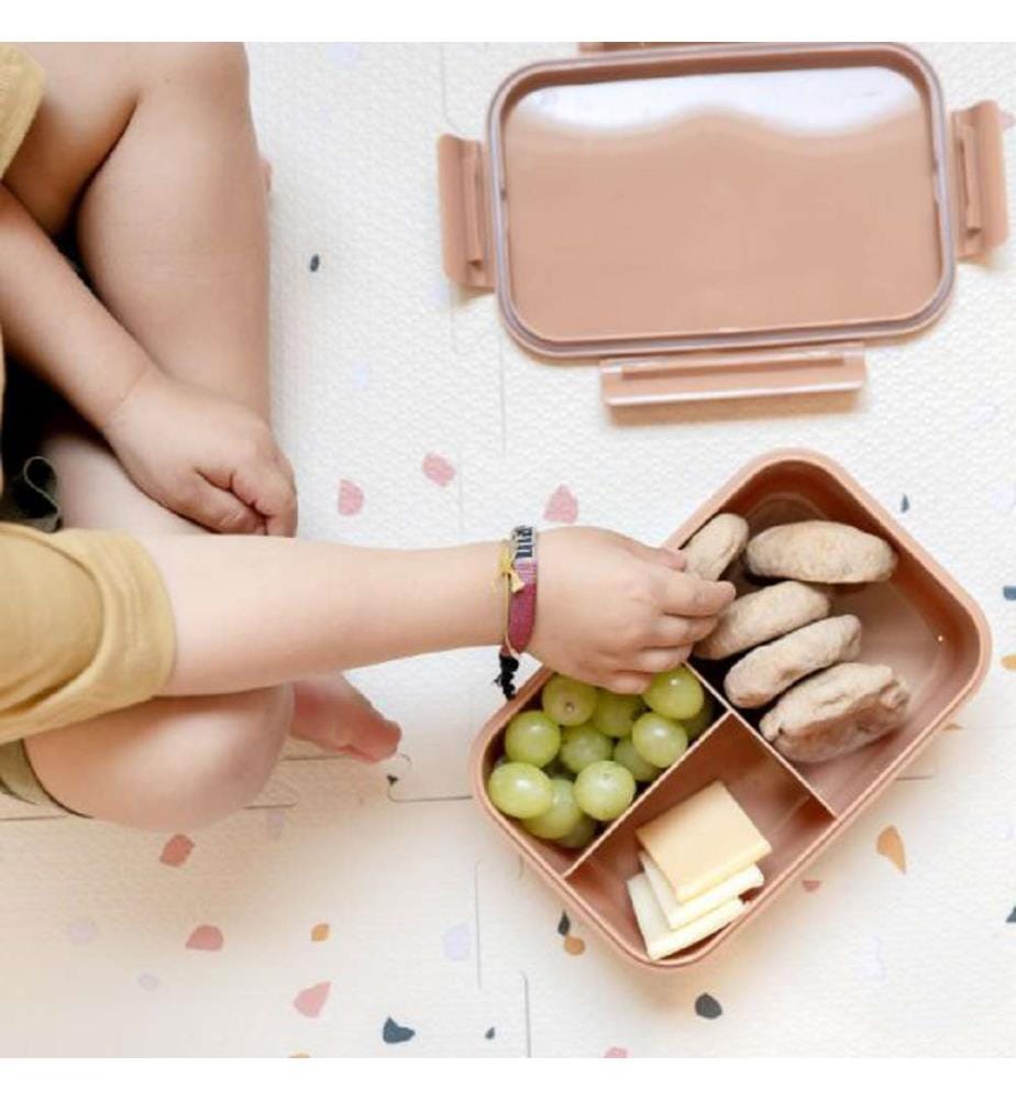 Bento-Box – Gitter