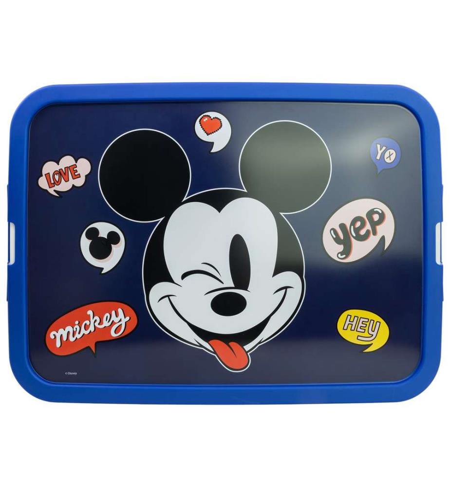 Click Storage Box 13 L Its A Mickey Thing