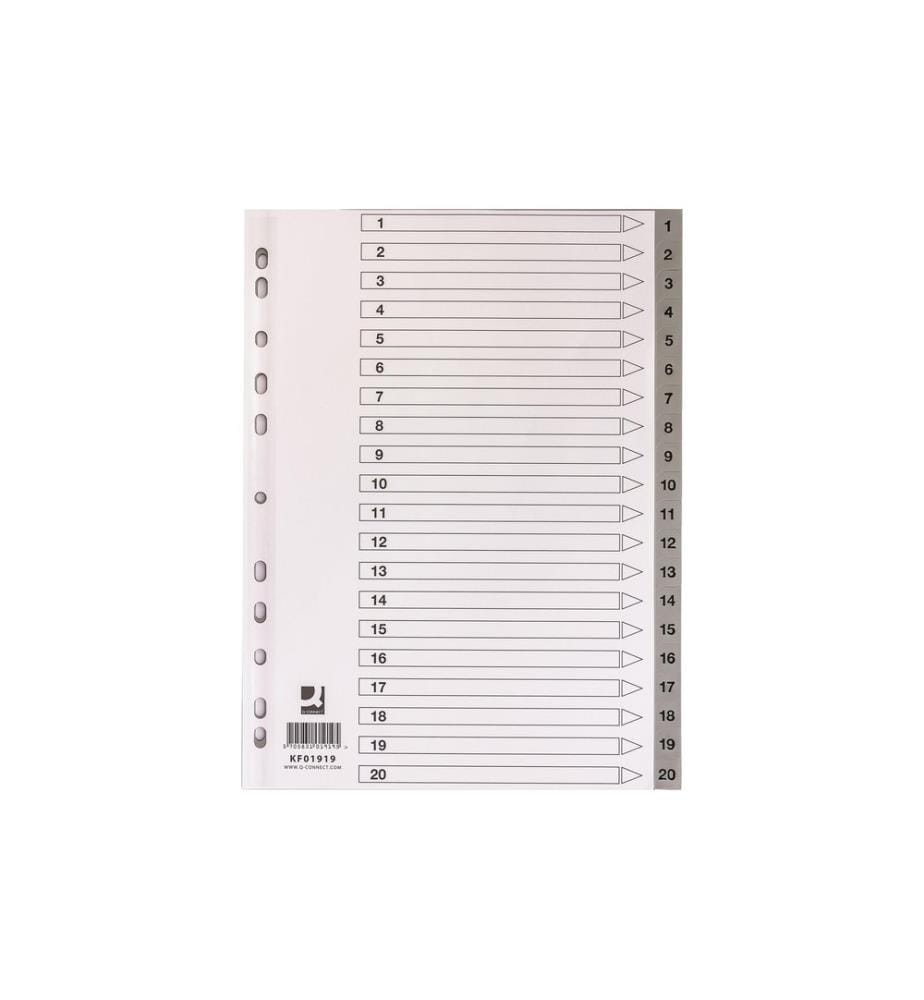 CONNECT Register A4, 1-20