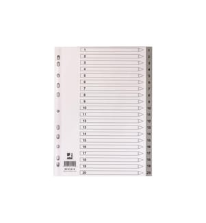 CONNECT Register A4, 1-20