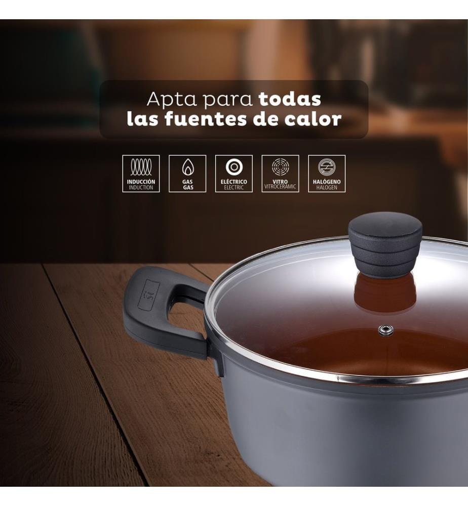 24 x 11.5 cm saucepan with lid, San Ignacio Bronze cast aluminium, induction-compatible","detected_source_language":"FR
