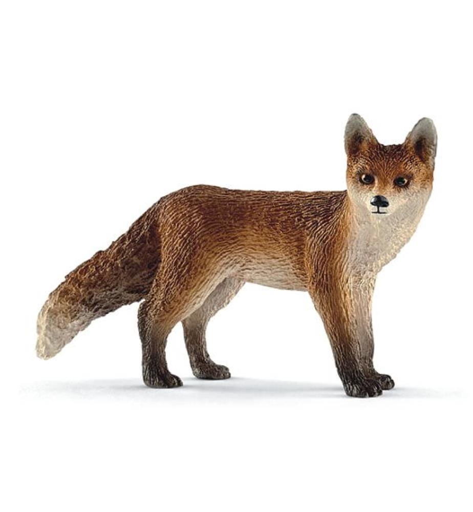 Renard - 14782