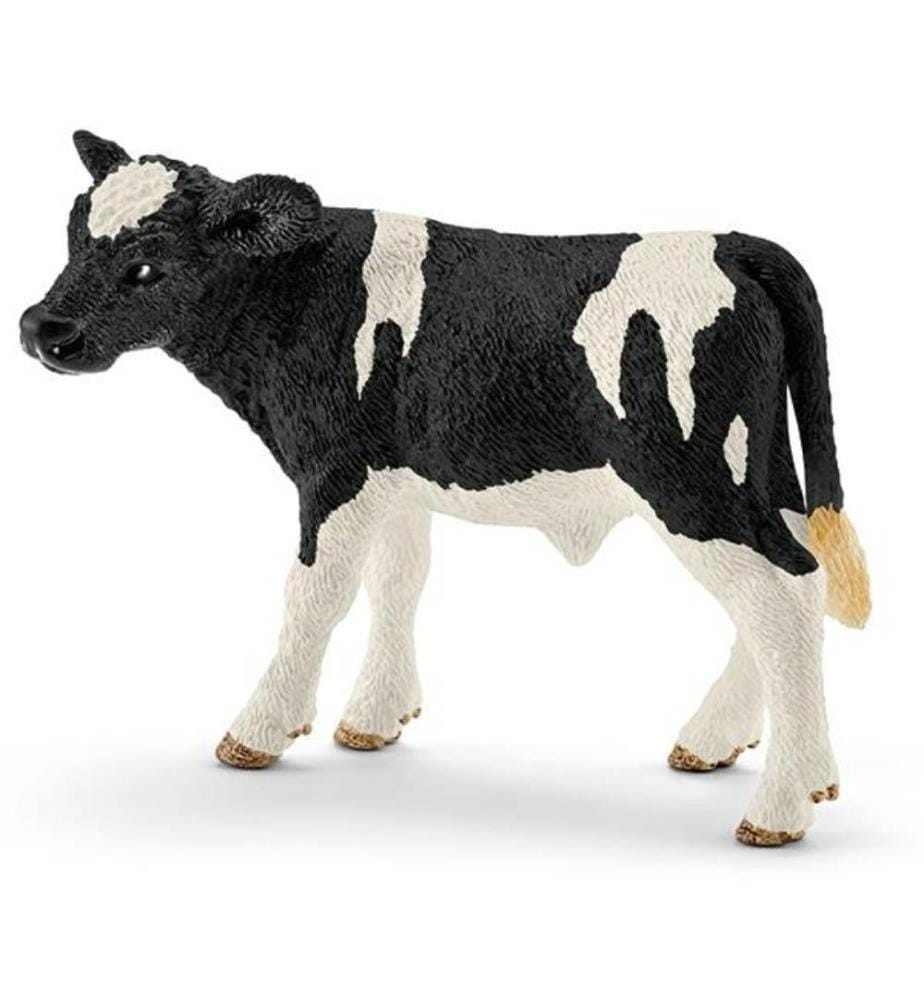13798 - Holstein - Kalb, schwarz bunt