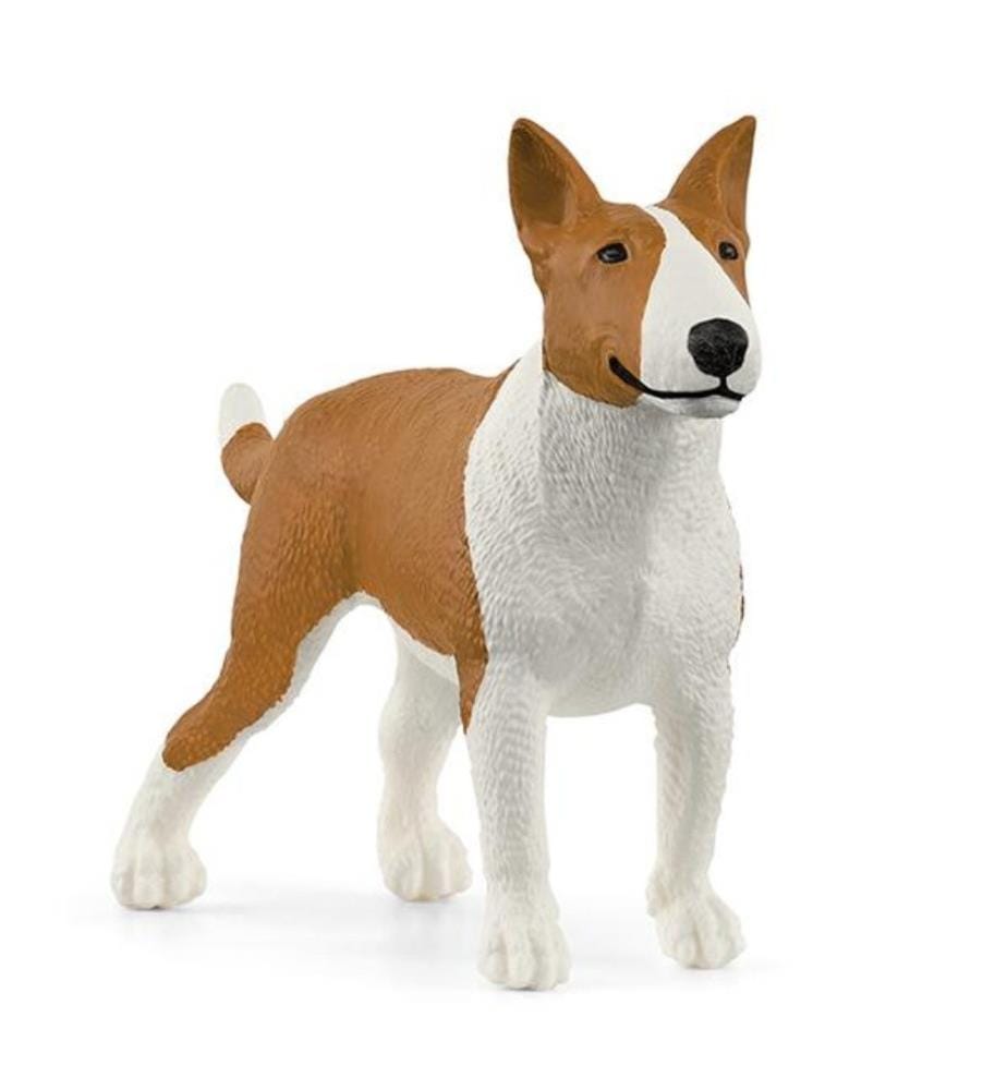 13966 - Bullterrier