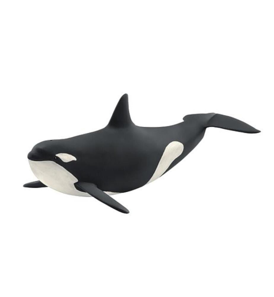 14807 - Orka