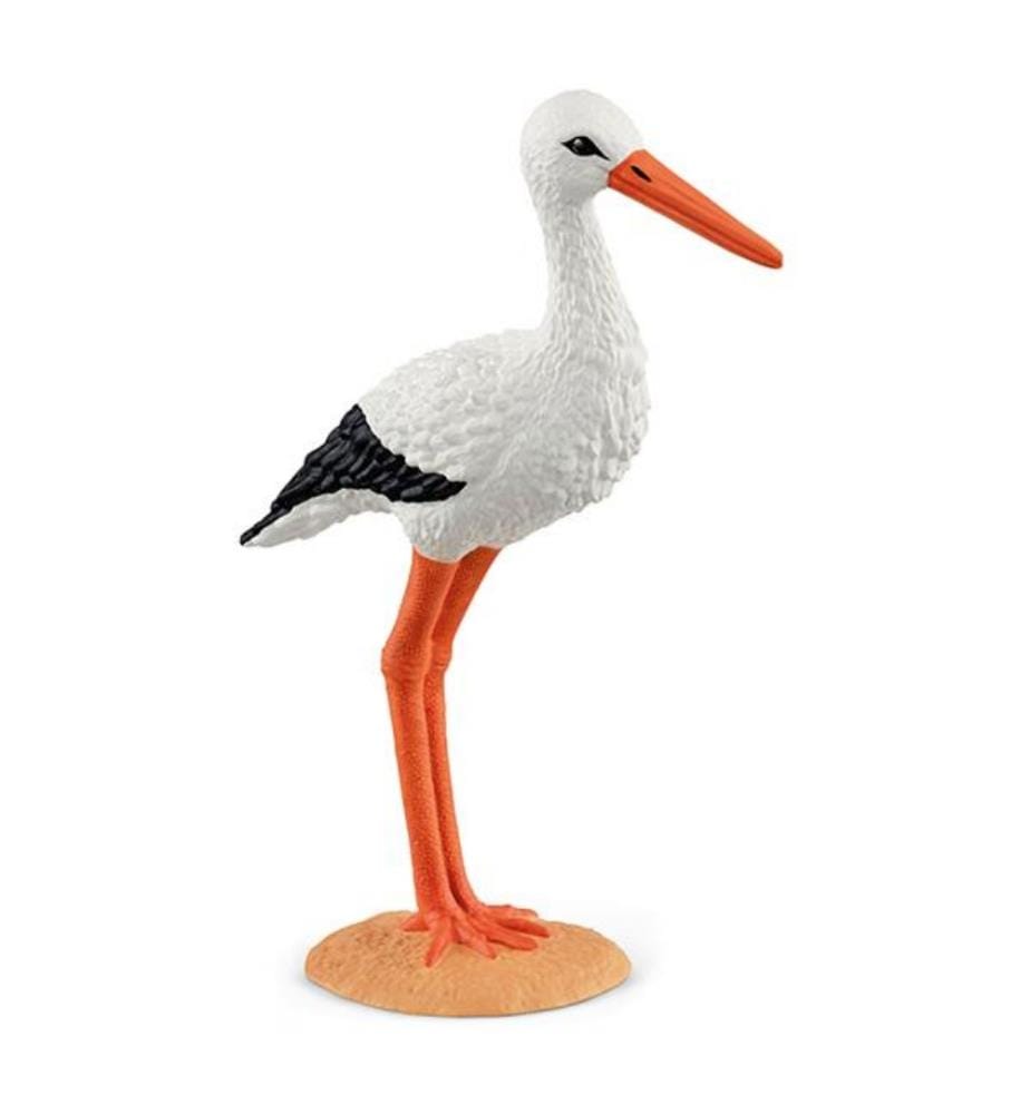 13936 - Storch