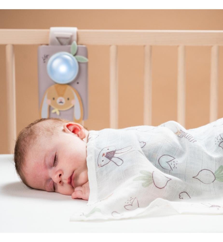 Beruhigendes Babyset Hase, 0M+