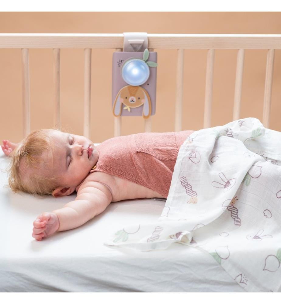 Beruhigendes Babyset Hase, 0M+