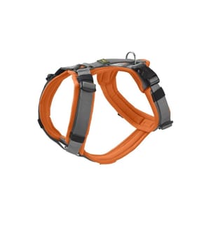 HUNTER - Geschirr Maldon UP S-M orange/grau