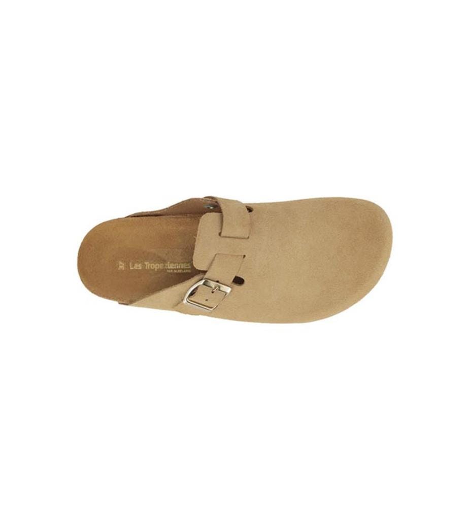 Mules - Zabot