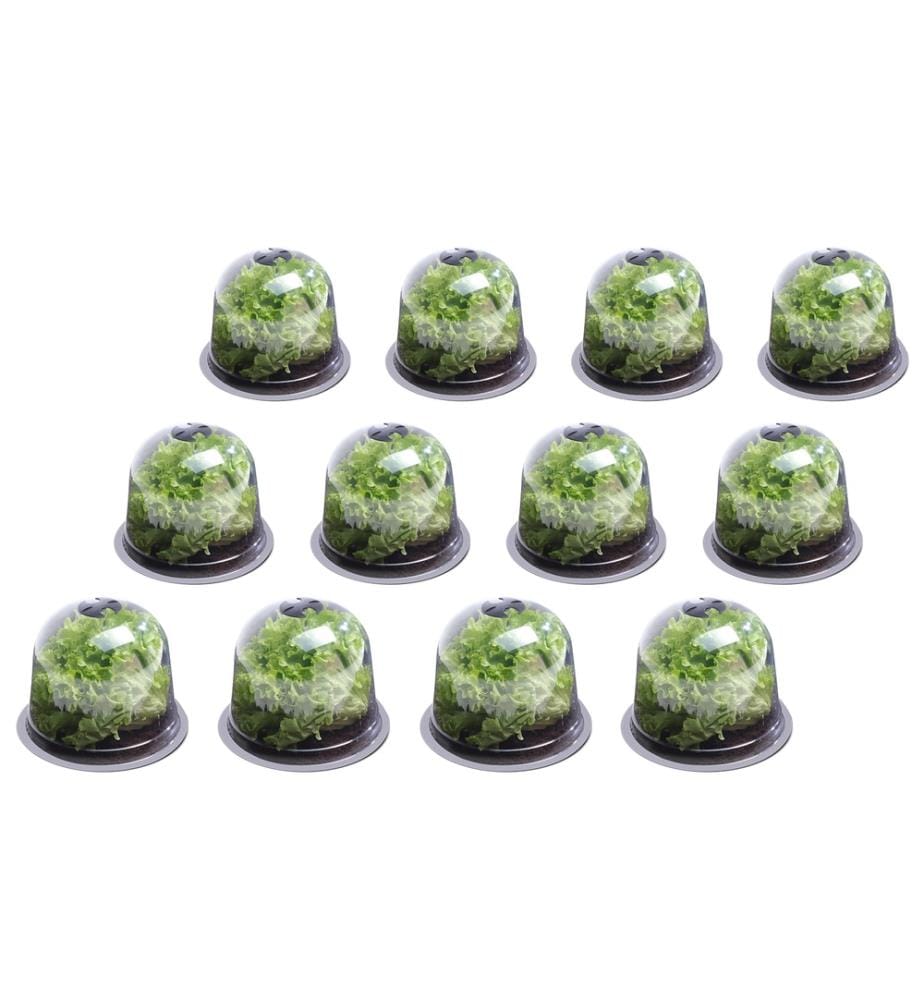 Set di 12 campane per insalata - Nero e trasparente