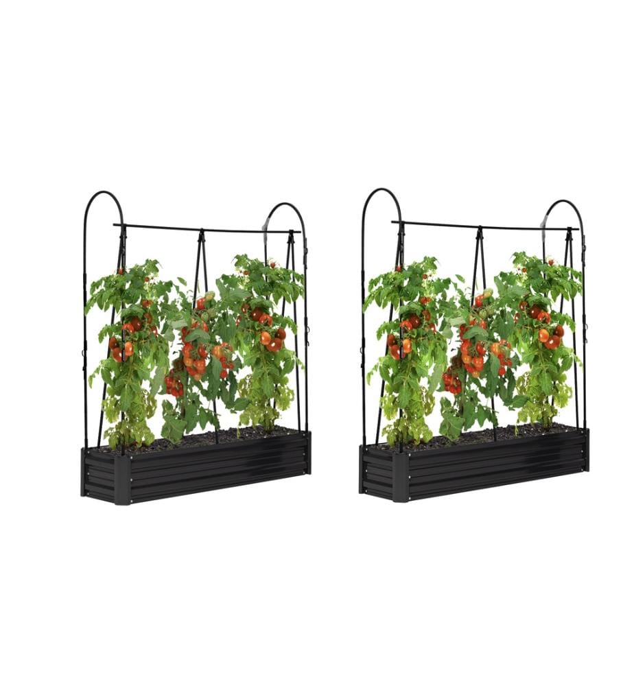 Set of 2 Metal Tomato Greenhouses - Black